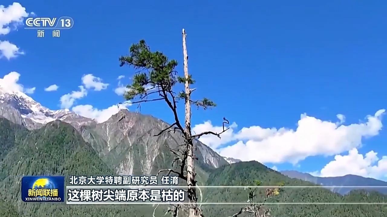感知生态之变丨我国成为全球增绿最多最快的国家