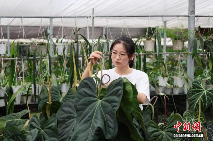 “两山”理念20年：千万芳华，共赴和美乡村