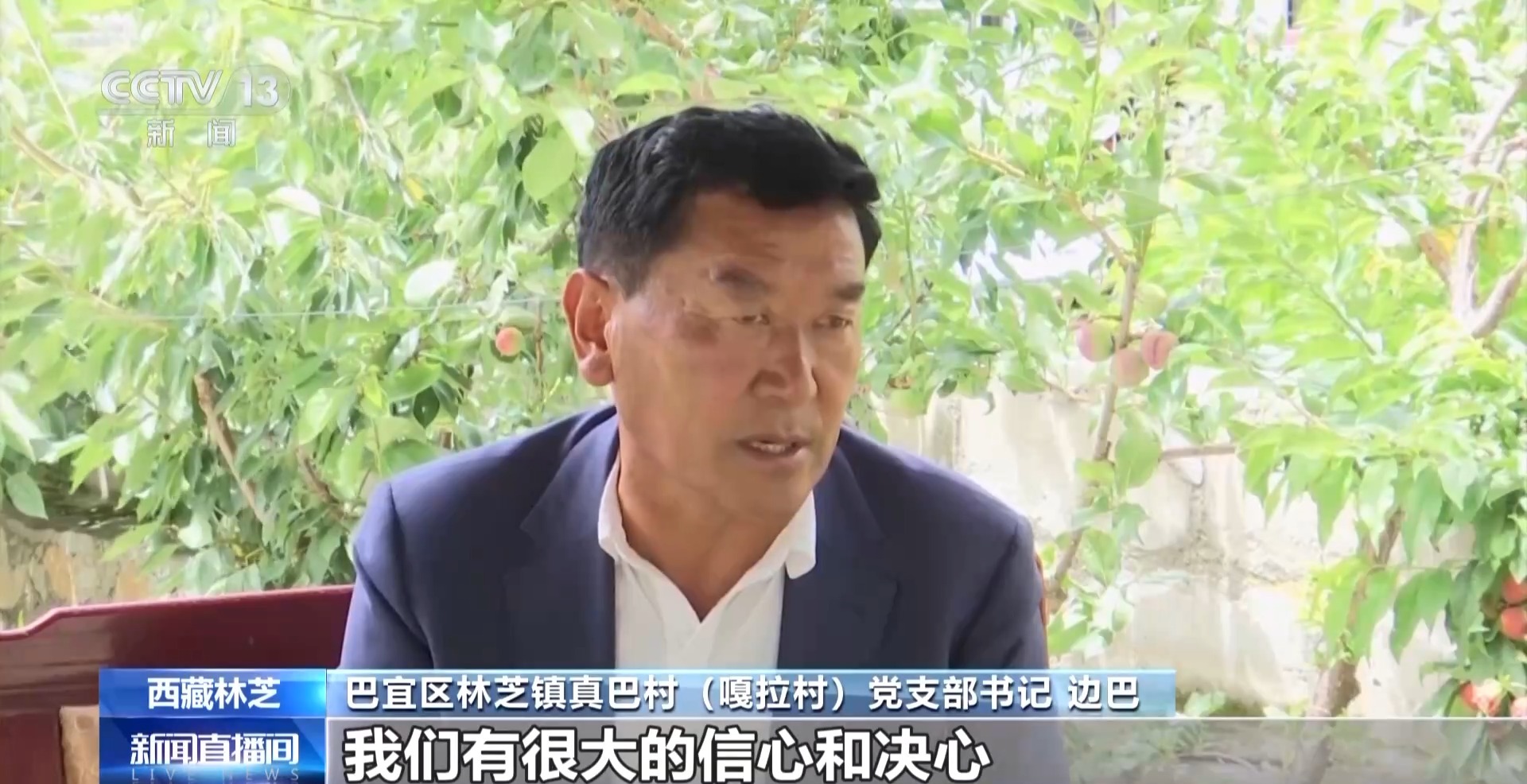辉煌60载 魅力新西藏丨发展“桃花经济” 西藏嘎拉村走上生态致富路