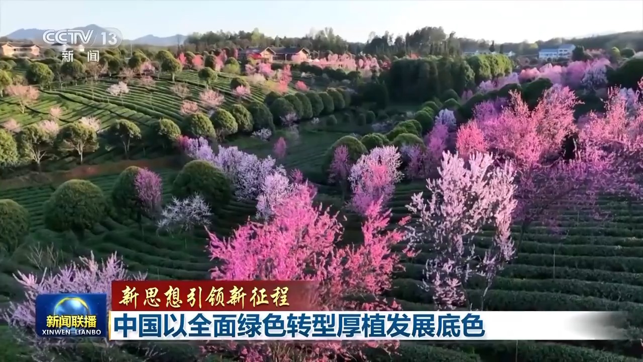 新思想引领新征程丨中国以全面绿色转型厚植发展底色