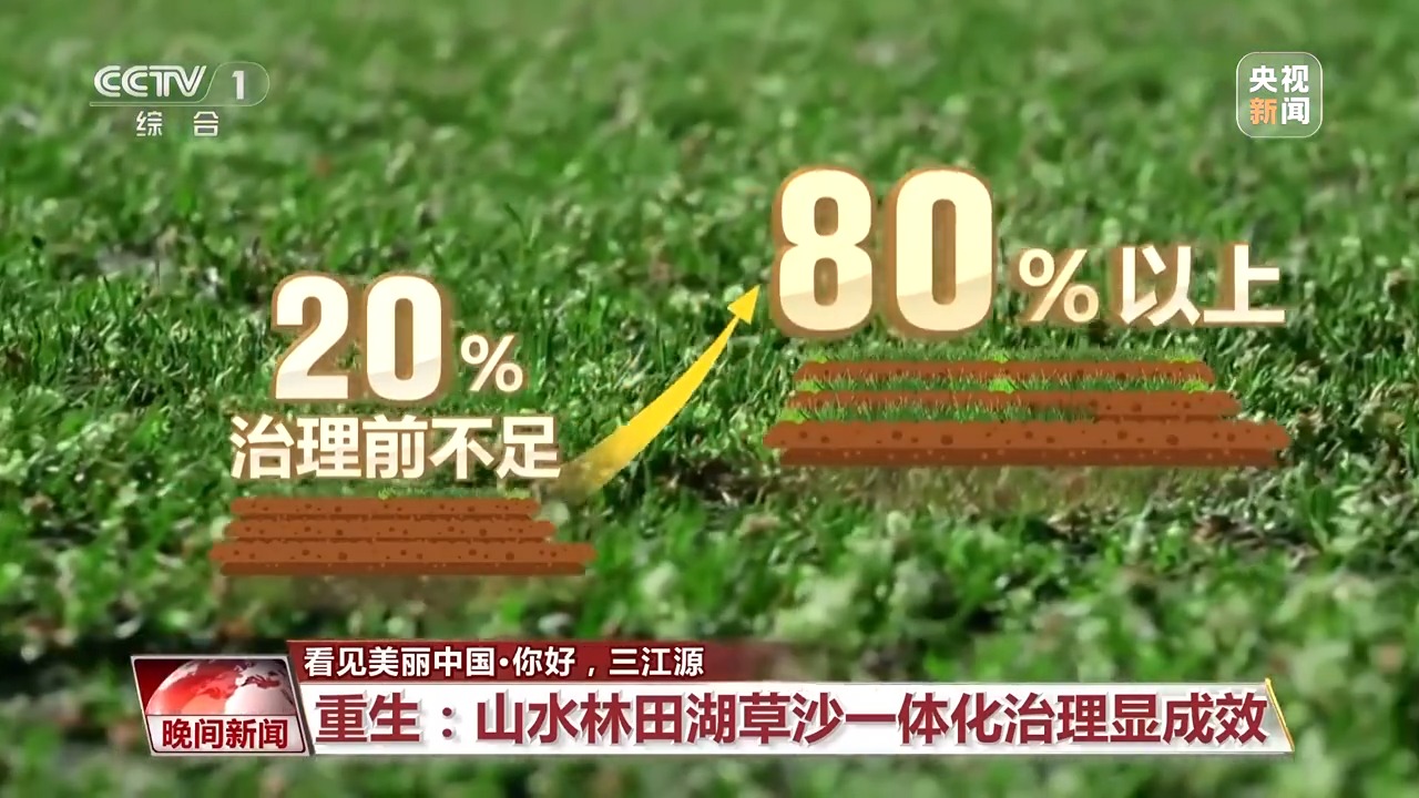 看见美丽中国丨三江源20年蜕变：千湖归来 “中华水塔”焕新生