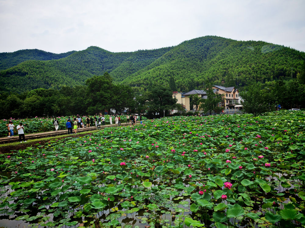 和总书记面对面 | 青山常在路更长