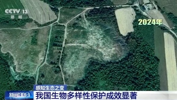 感知生态之变丨从6.7万到14.8万种 见证生物多样性保护中国答卷