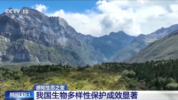 感知生态之变丨从6.7万到14.8万种 见证生物多样性保护中国答卷