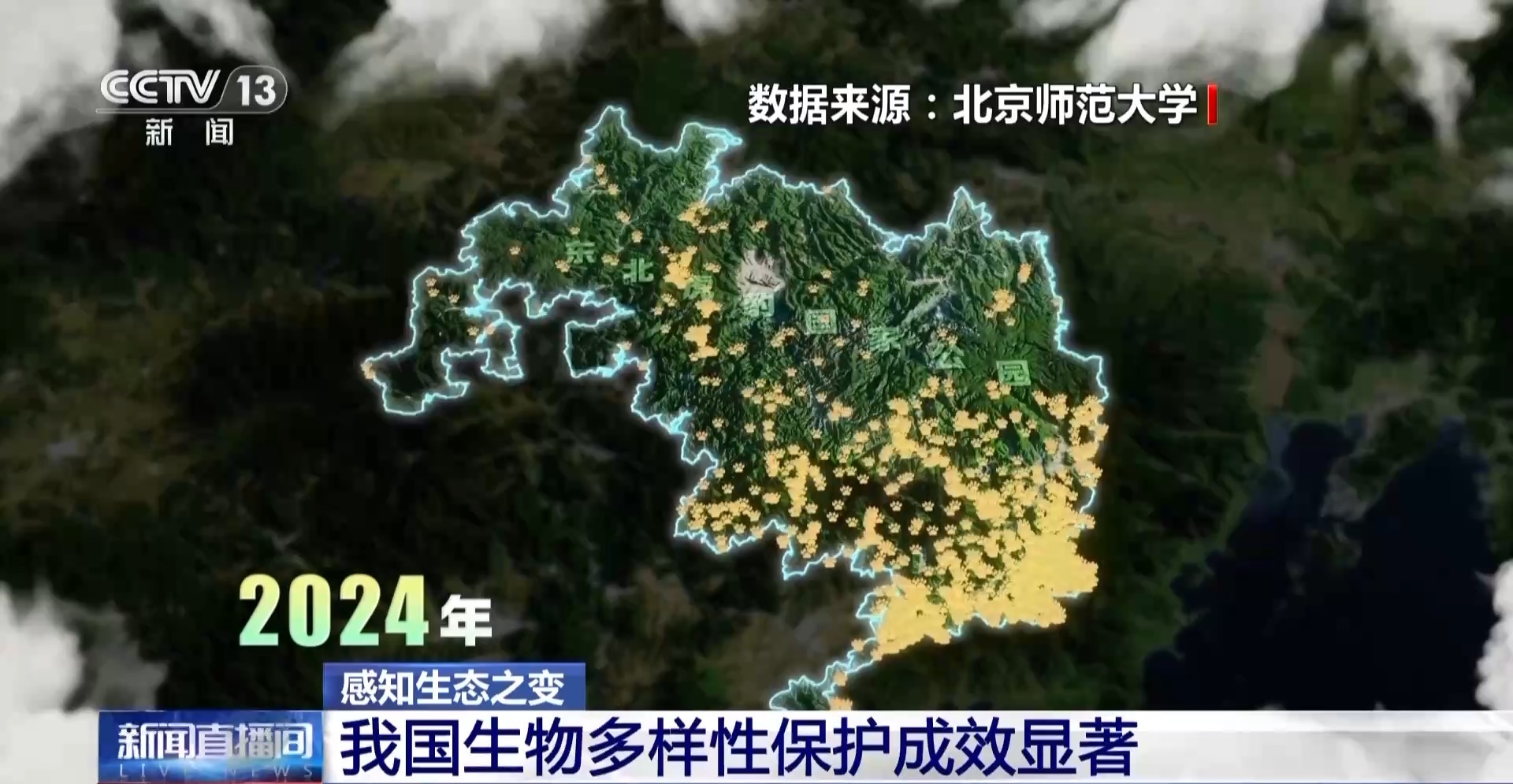 感知生态之变丨2.8万台红外相机里藏着东北虎豹变迁史