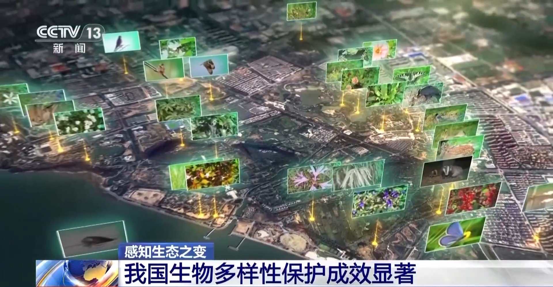 感知生态之变丨2.8万台红外相机里藏着东北虎豹变迁史