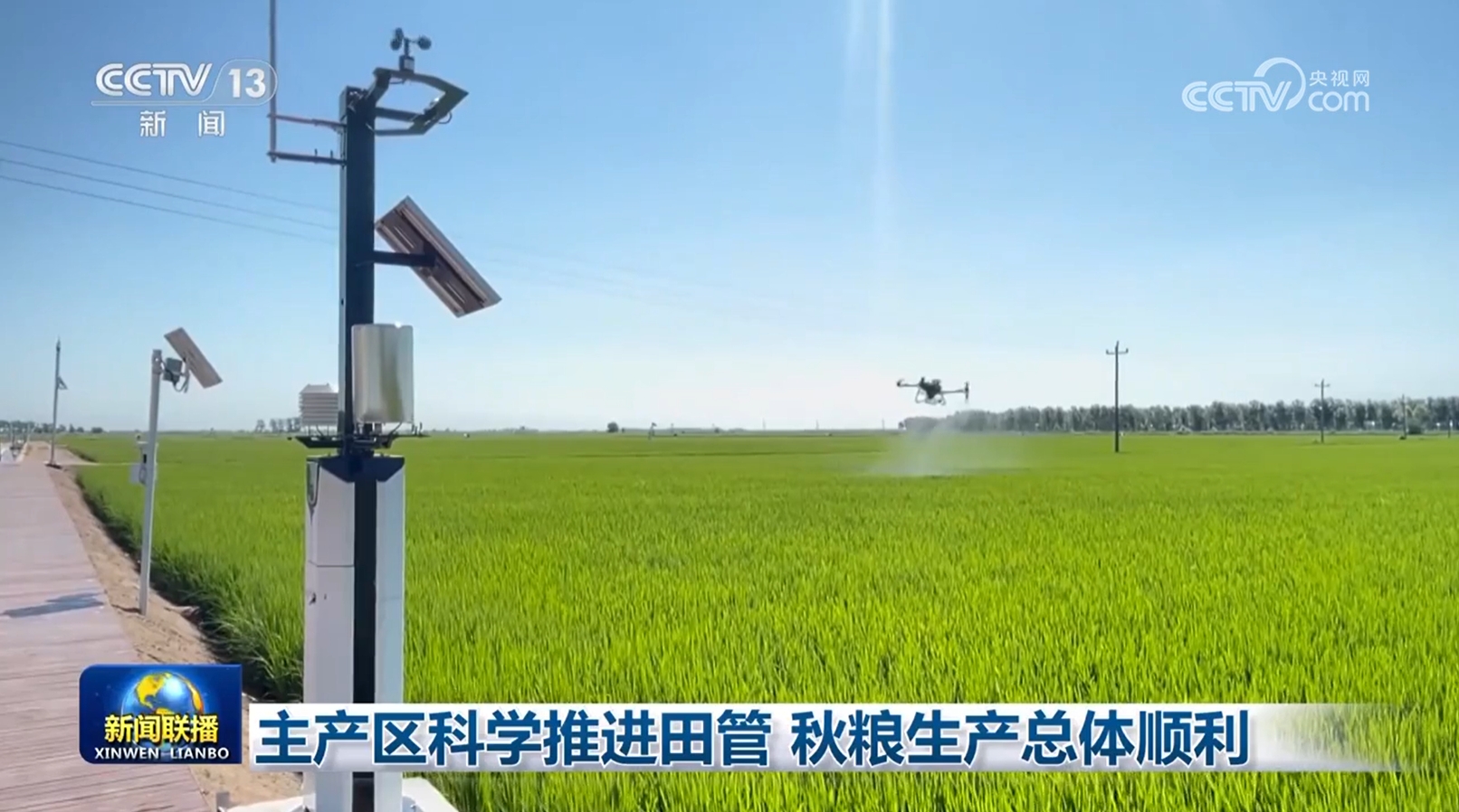 主产区科学推进田管 秋粮生产总体顺利