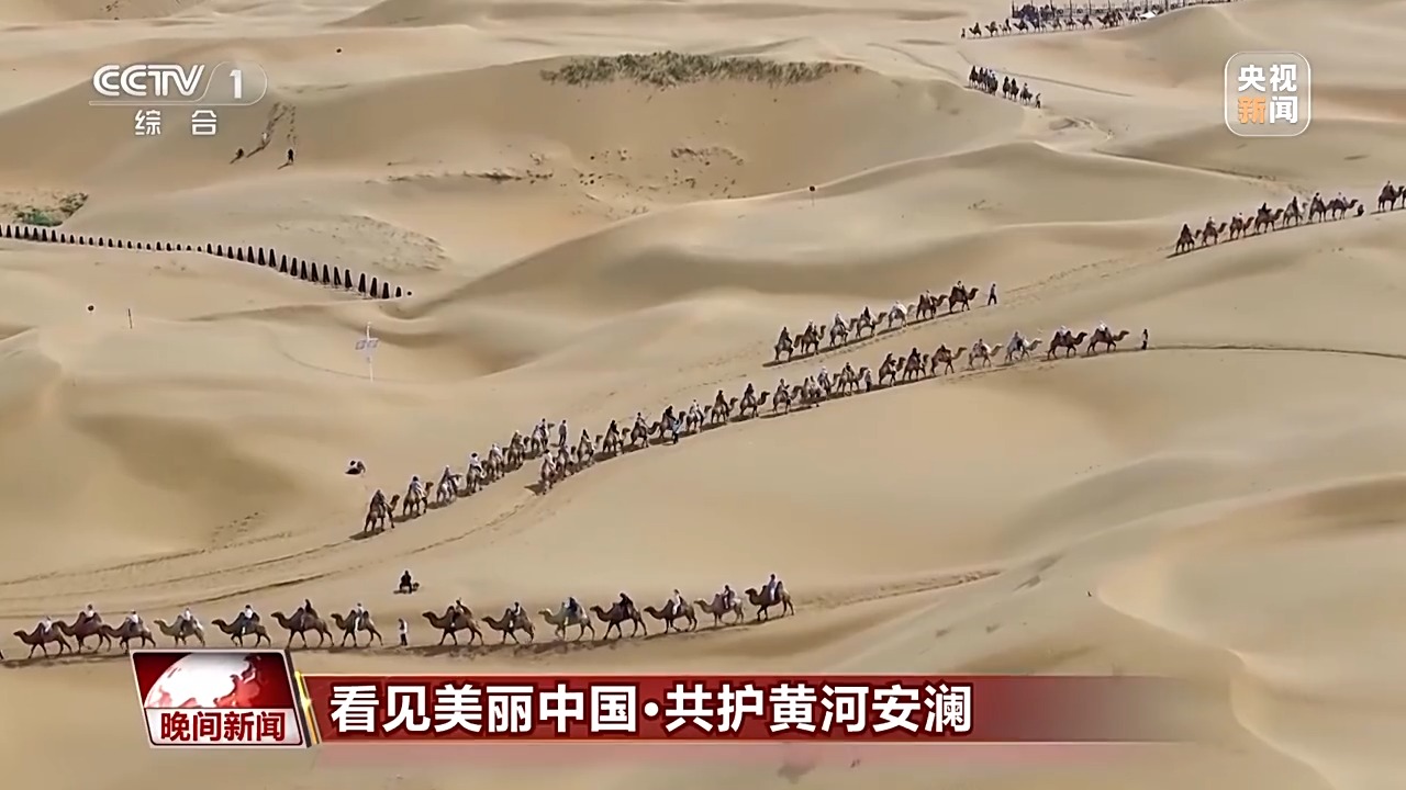 看见美丽中国丨把断流之痛化作生态之美 母亲河生态蜕变向“绿”而行