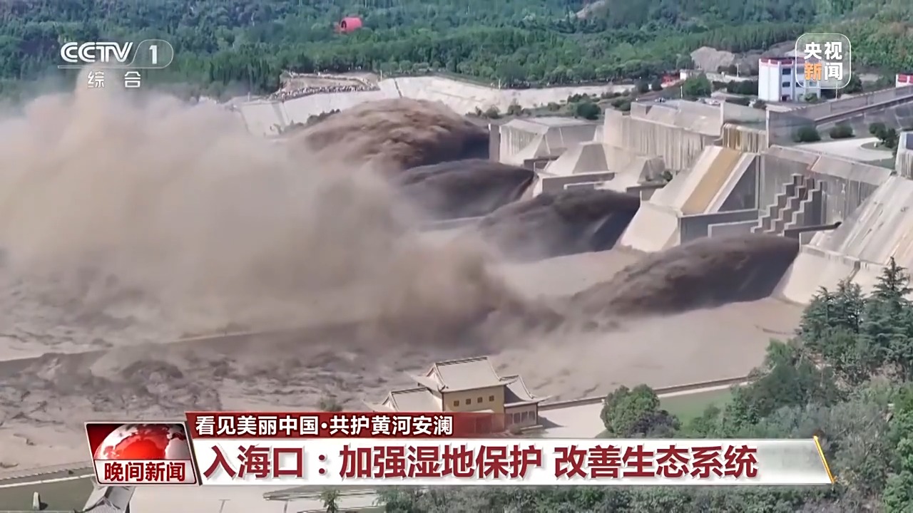 看见美丽中国丨把断流之痛化作生态之美 母亲河生态蜕变向“绿”而行
