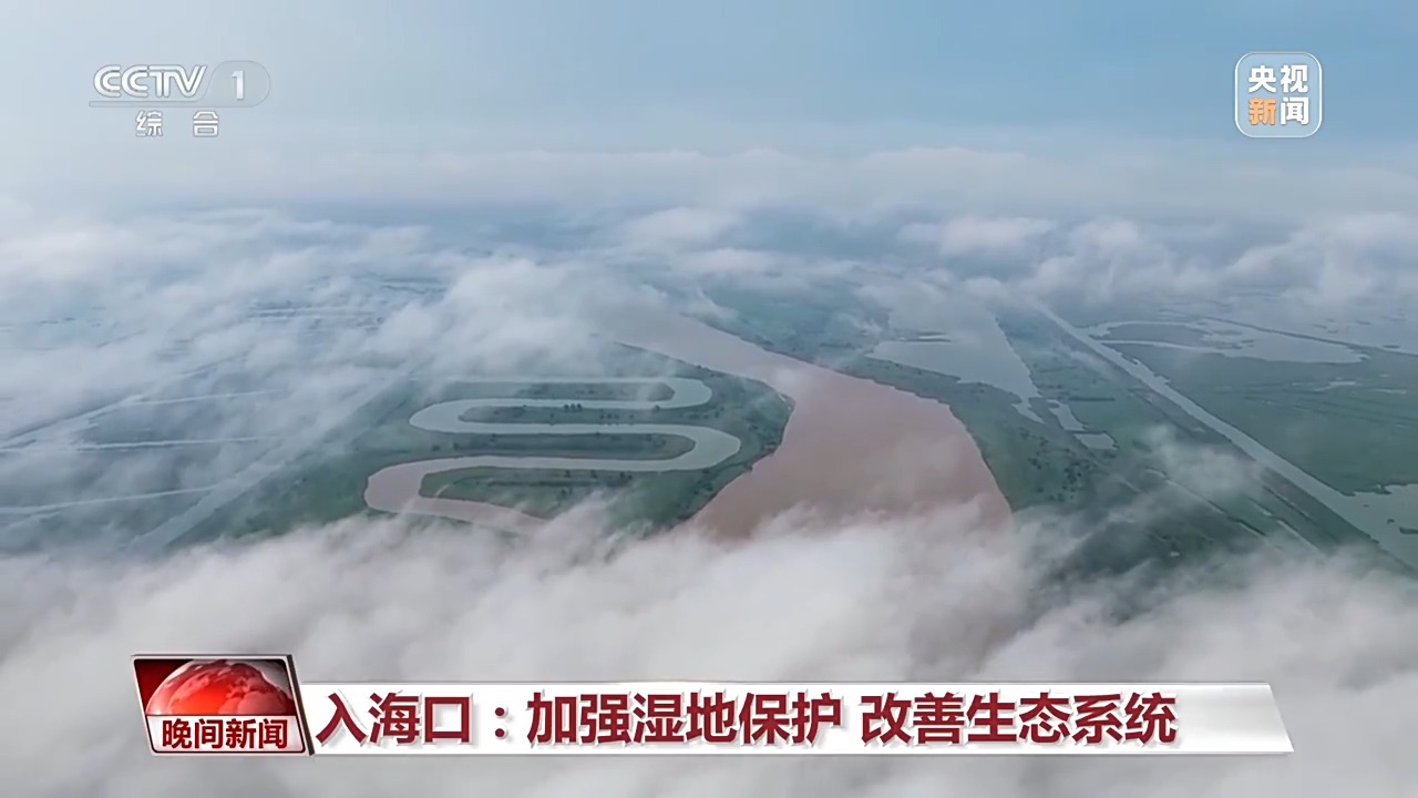 看见美丽中国丨把断流之痛化作生态之美 母亲河生态蜕变向“绿”而行
