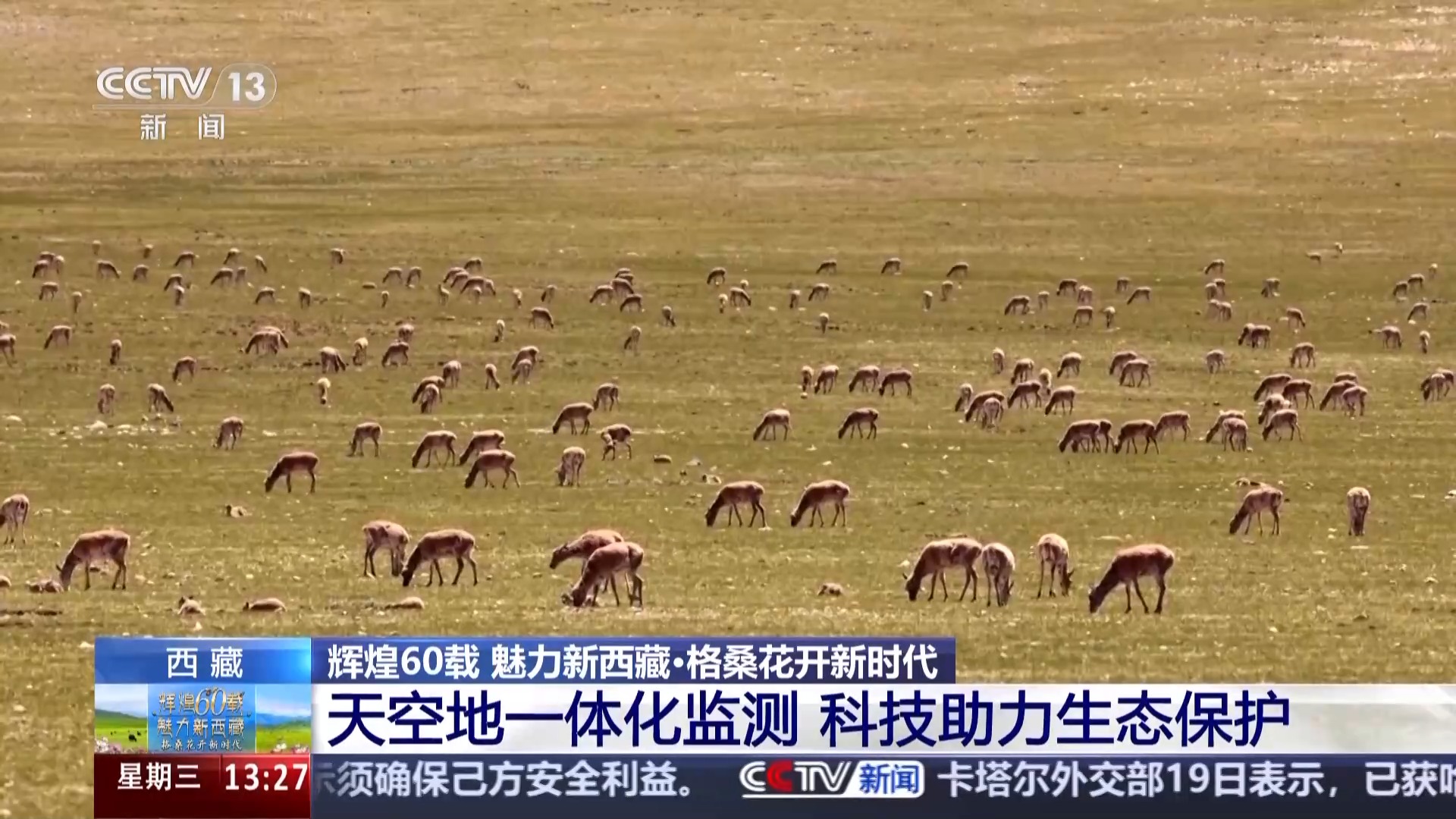 辉煌60载 魅力新西藏丨天空地一体化监测 科技守护三江源高原精灵
