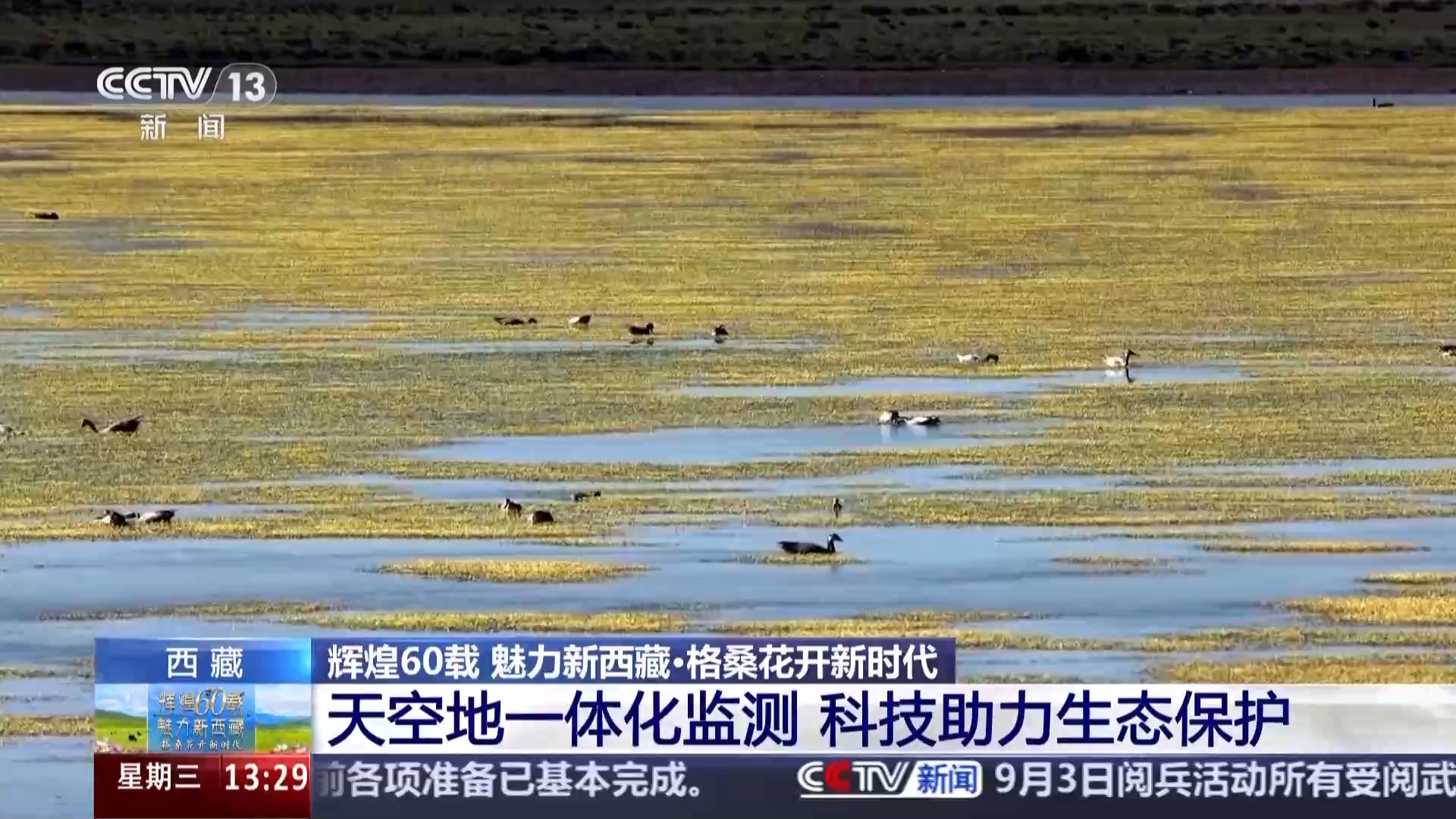 辉煌60载 魅力新西藏丨天空地一体化监测 科技守护三江源高原精灵