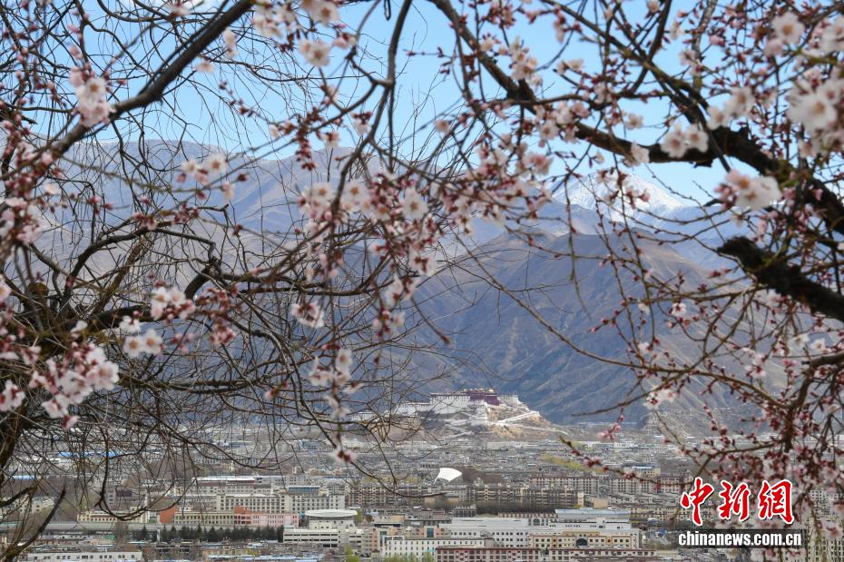 西藏布达拉宫的四季：时光中的文化瑰宝