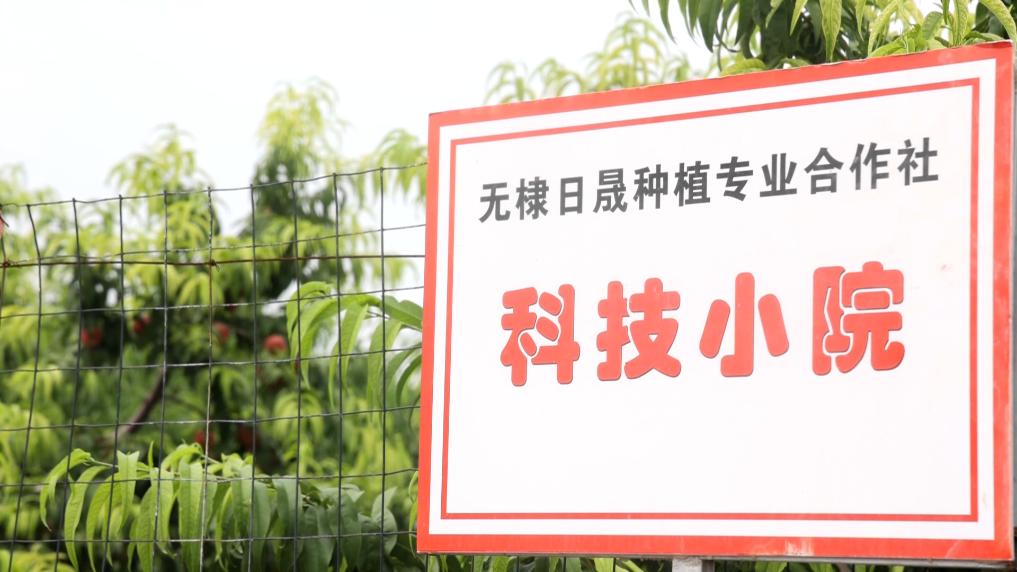 田间地头话振兴
