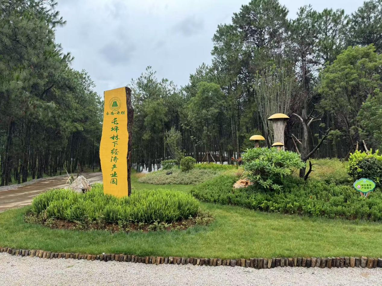 【团结花开彩云南】云南永胜：立足资源优势 撑开山区各族群众致富伞