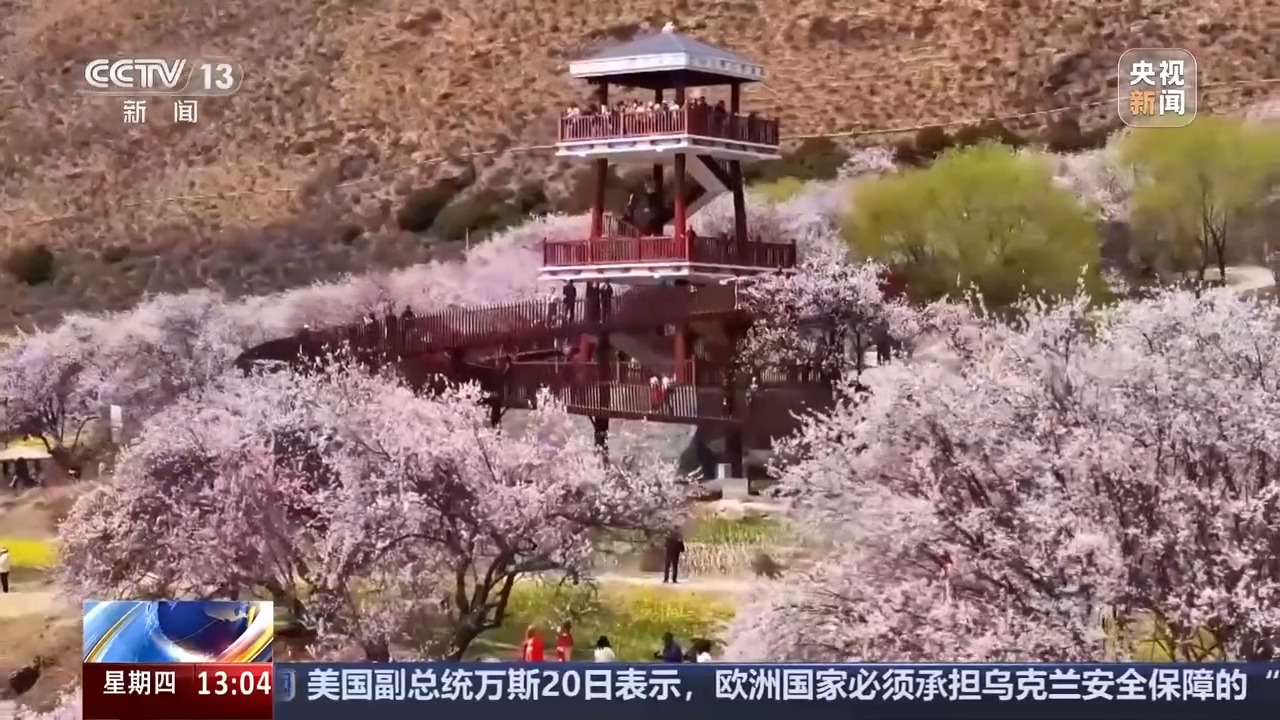 从边境小村到旅游胜地 这里是“西藏桃花第一村”