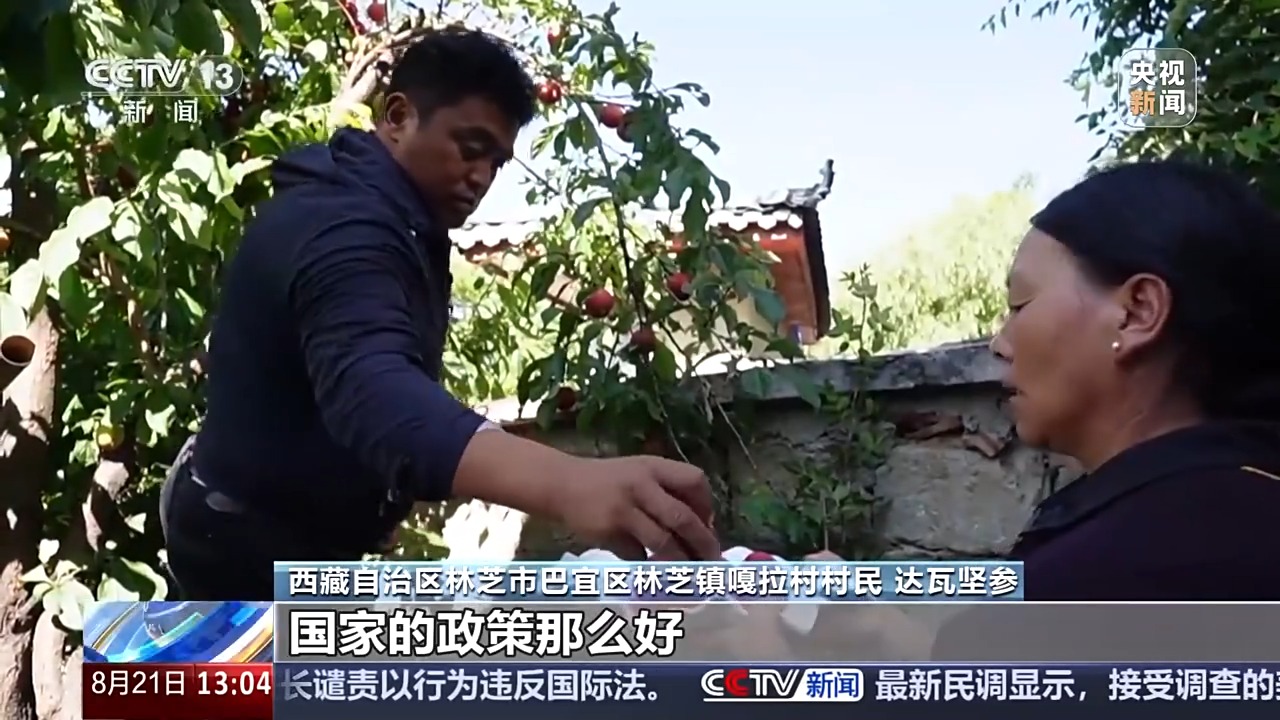 从边境小村到旅游胜地 这里是“西藏桃花第一村”
