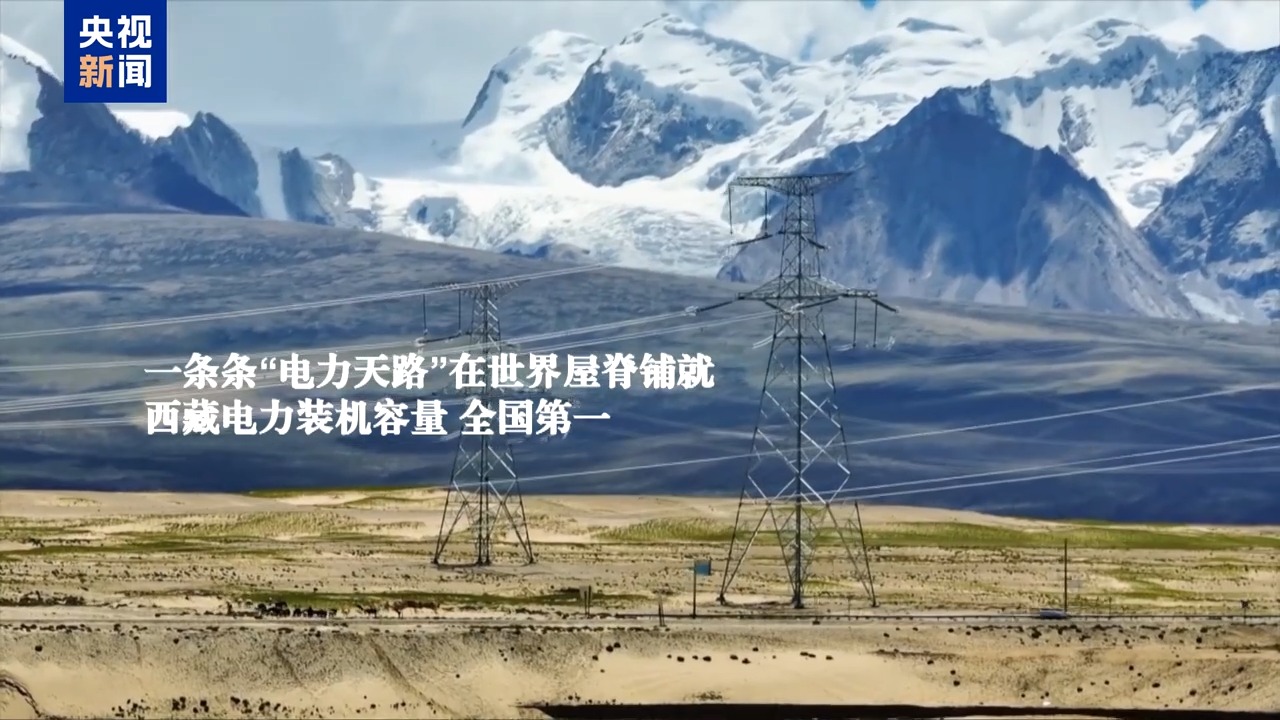 今天的西藏，有什么？听听他们心中的答案