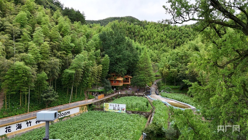 远山的回响丨余村：“点绿成金” 小山村惊艳世界