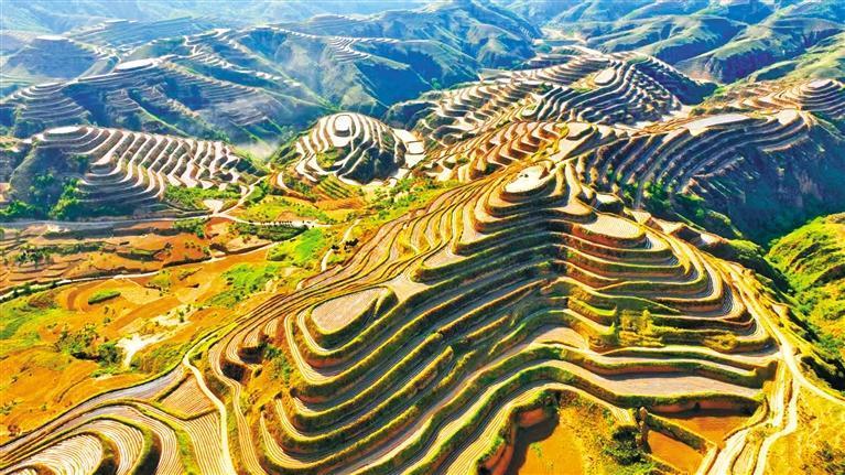 绥德：激活集体经济“一池春水”