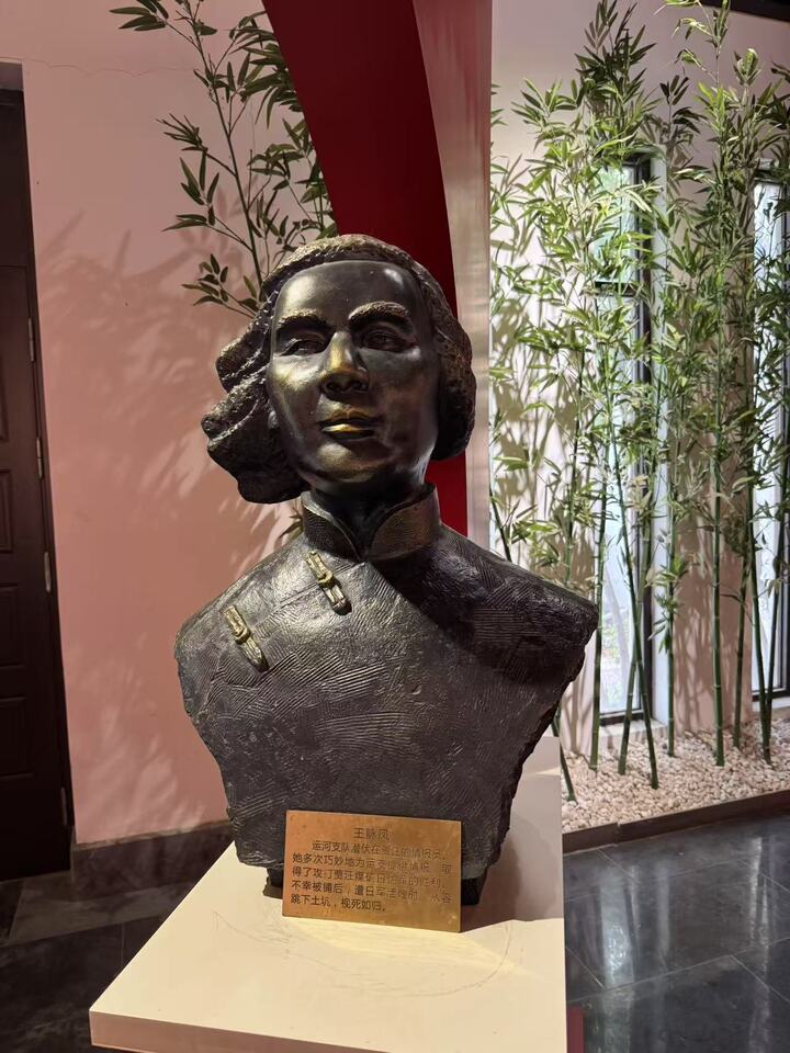 一名无畏女杰：胖张嫂？王脉凤！让英雄英名长存