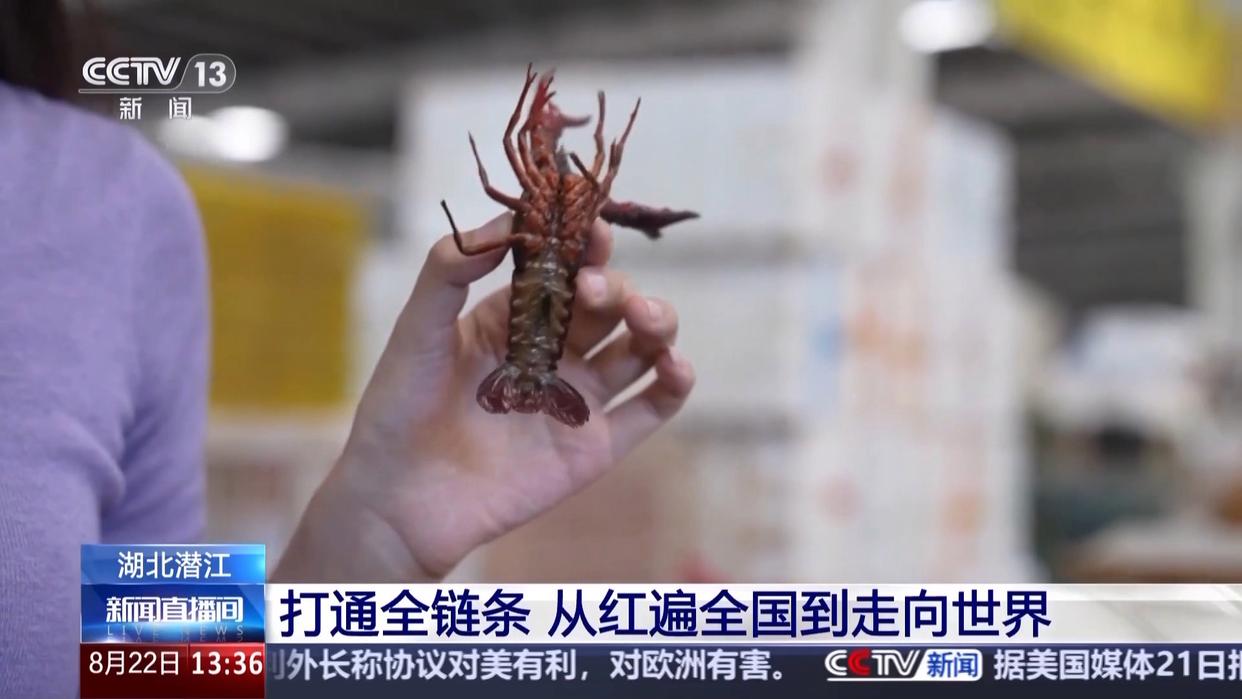 打通全链条 “中国新特产”从红遍全国到走向世界
