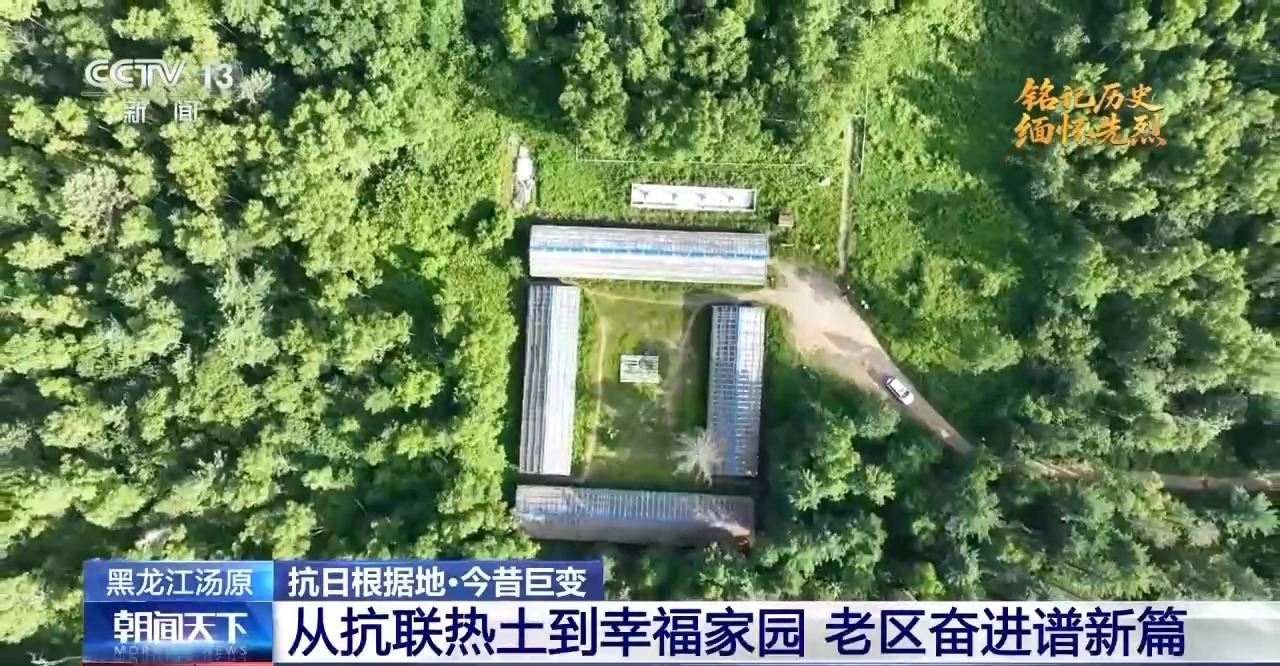 抗日根据地 今昔巨变丨抗联热土换新颜 解锁黑龙江汤原县的“经济密码”