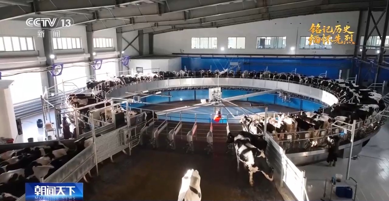 抗日根据地 今昔巨变丨抗联热土换新颜 解锁黑龙江汤原县的“经济密码”