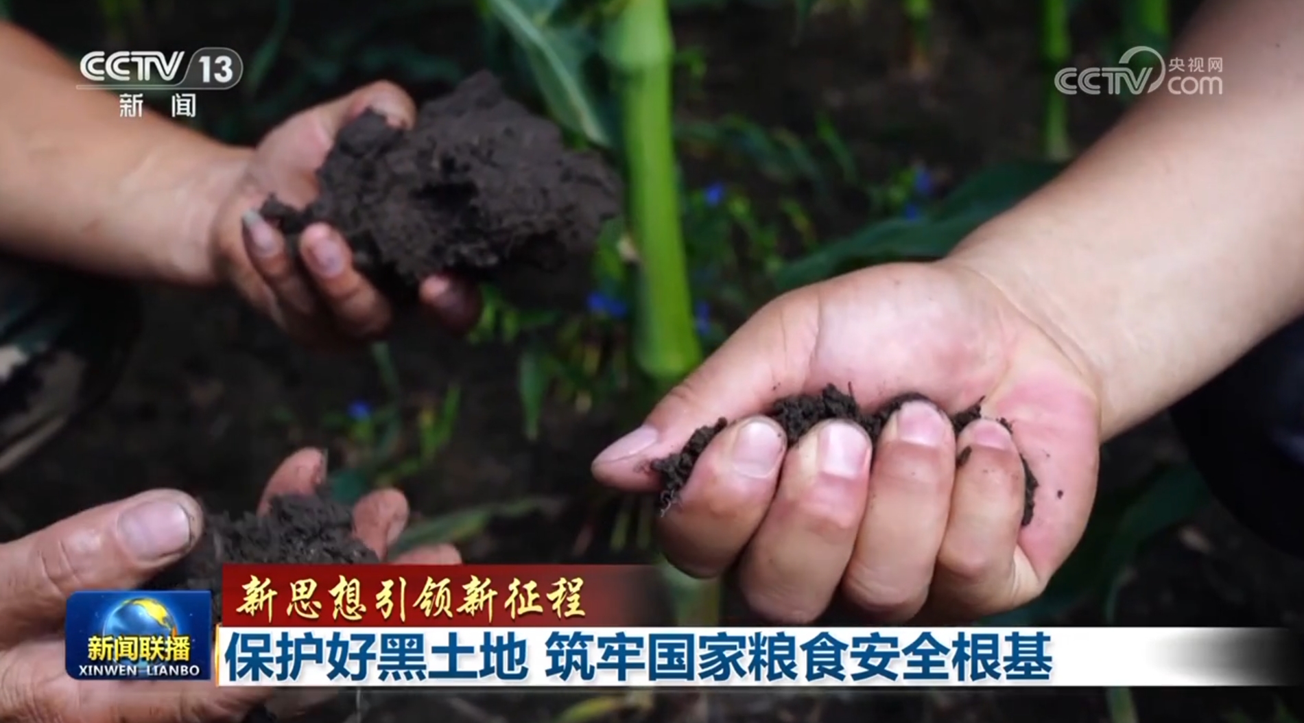【新思想引领新征程】保护好黑土地 筑牢国家粮食安全根基