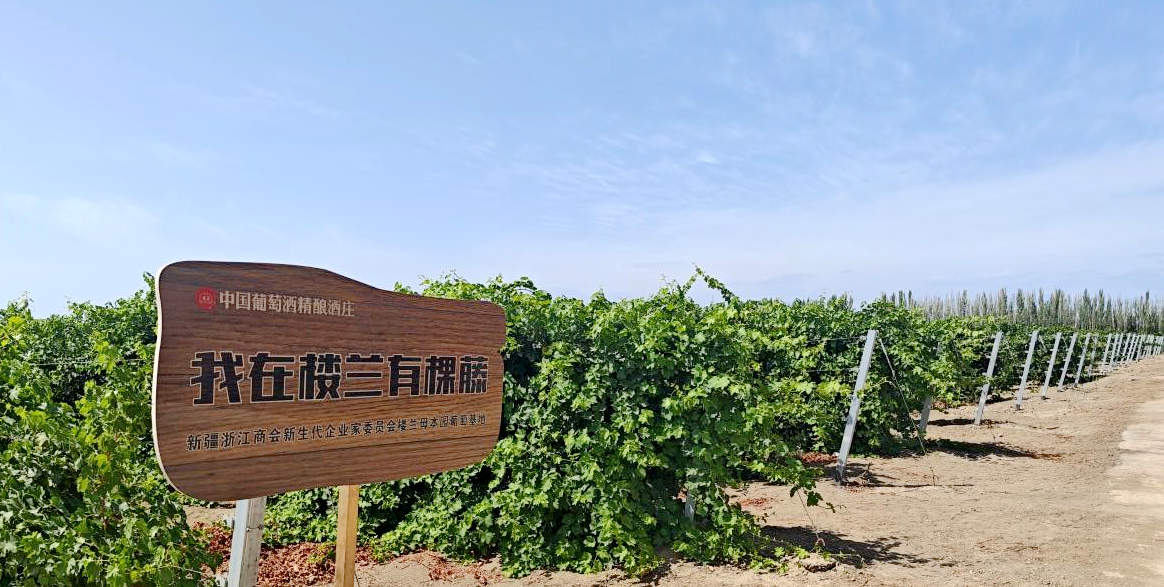 新疆吐鲁番：小葡萄串起大产业