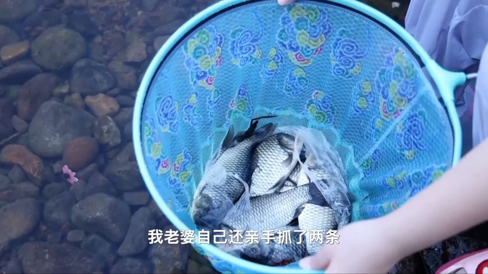 夏日经济“热”力四射 多元业态绘就乡村振兴新图景