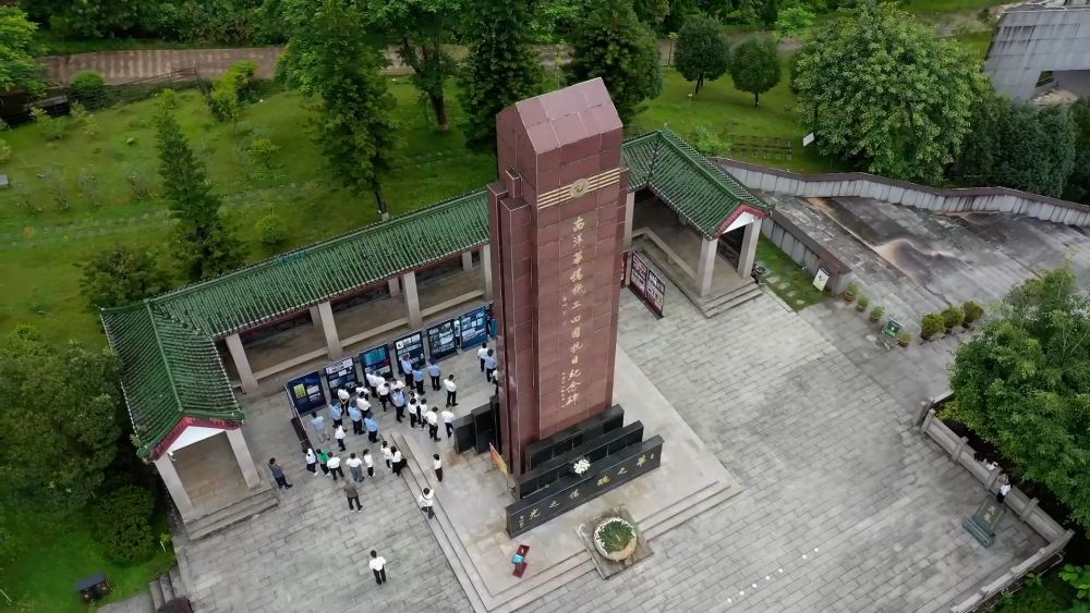 夏日经济“热”力四射 多元业态绘就乡村振兴新图景