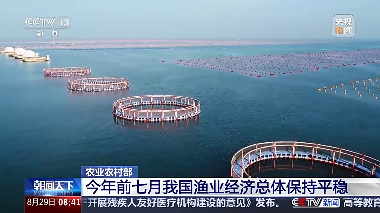 成交量、成交额双增长 今年前七个月我国渔业经济总体保持平稳