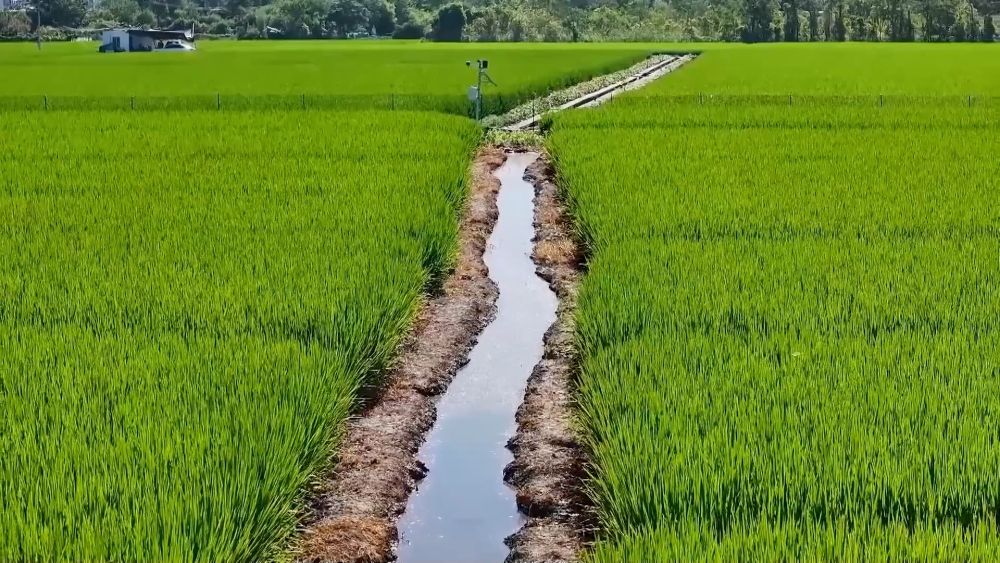 新华视点｜各地多维度发力 多元探索绘就乡村振兴新画卷