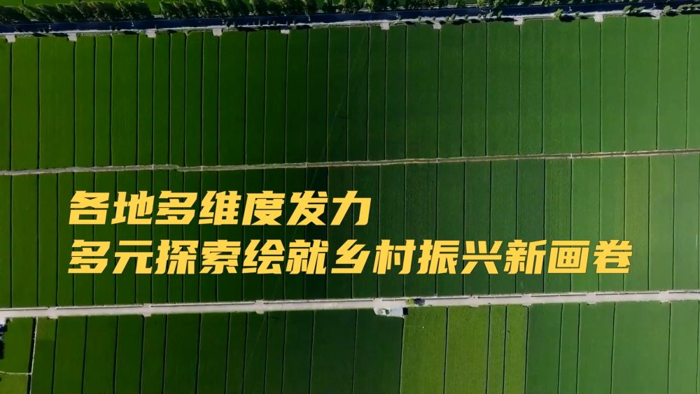 新华视点｜各地多维度发力 多元探索绘就乡村振兴新画卷