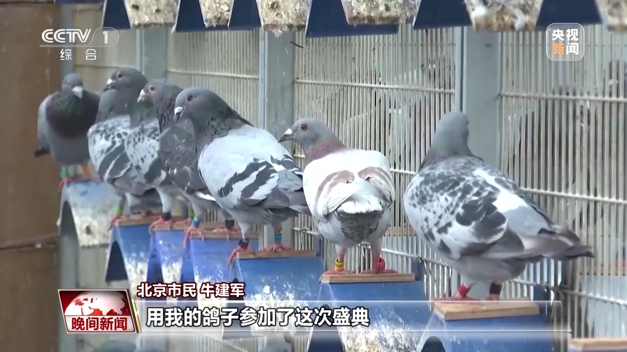习近平总书记在纪念大会上的重要讲话激励社会各界踔厉奋发勇毅前行