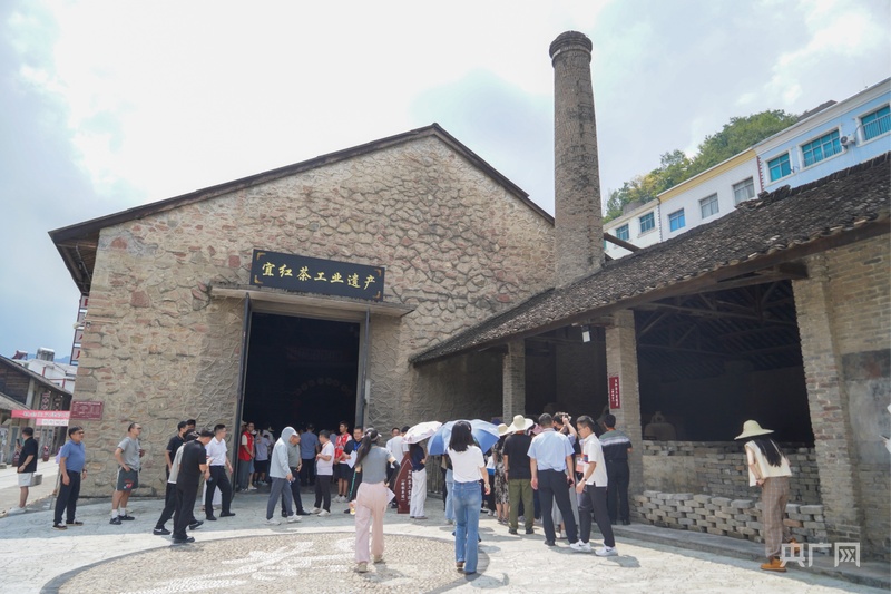 活力中国调研行｜从 “卖茶叶” 到 “卖体验” 一片绿叶的增值之道