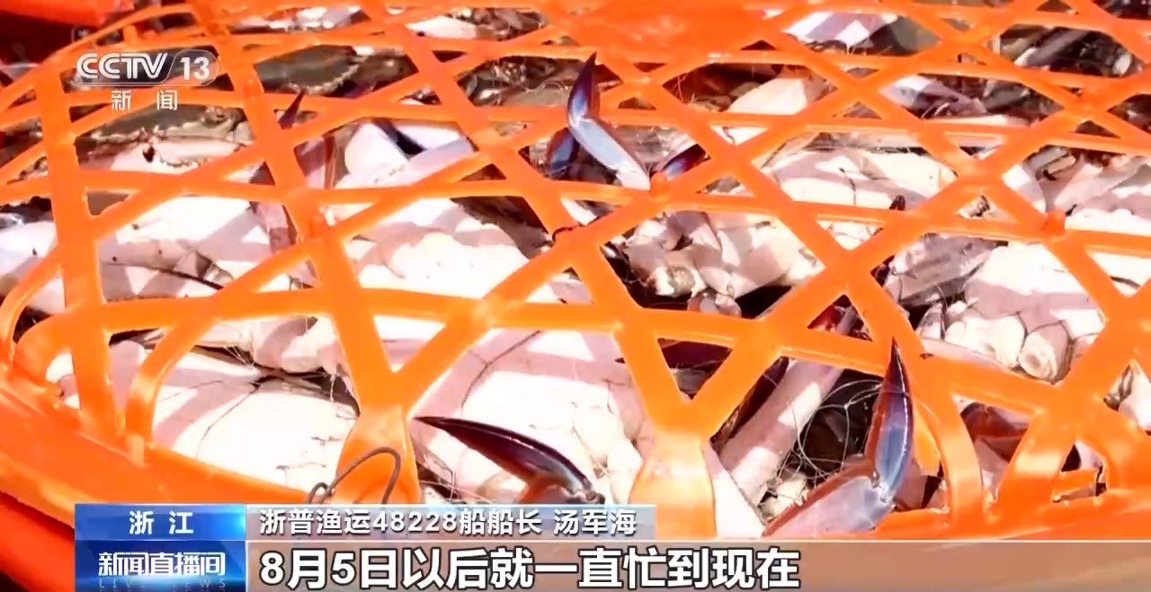 开渔期赶海忙 鲜活海产“游”进市场