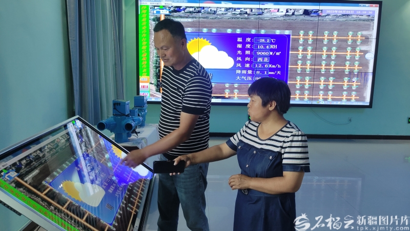 辉煌70年 奋进新征程丨智慧棉田