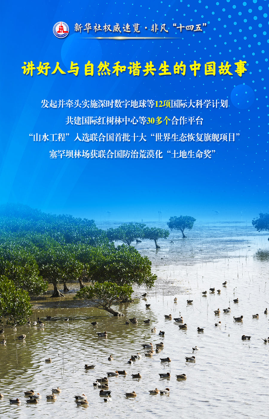 非凡“十四五”丨当好自然资源“大管家”美丽中国“守护者”，他们这样干！