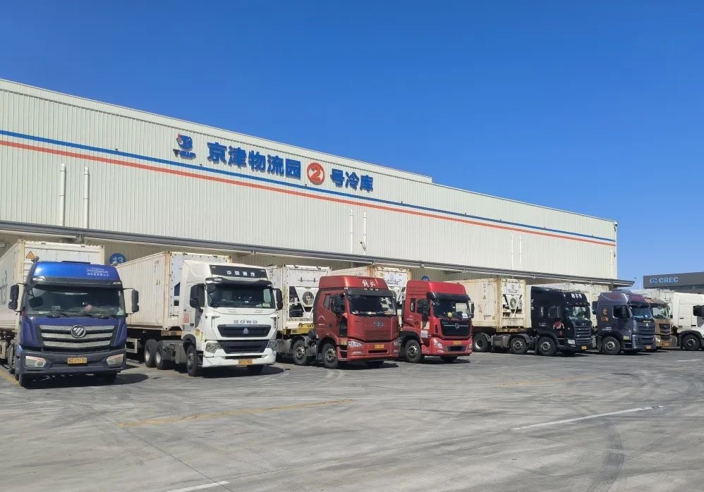 瓣瓣同心京津冀 携手前行处处新