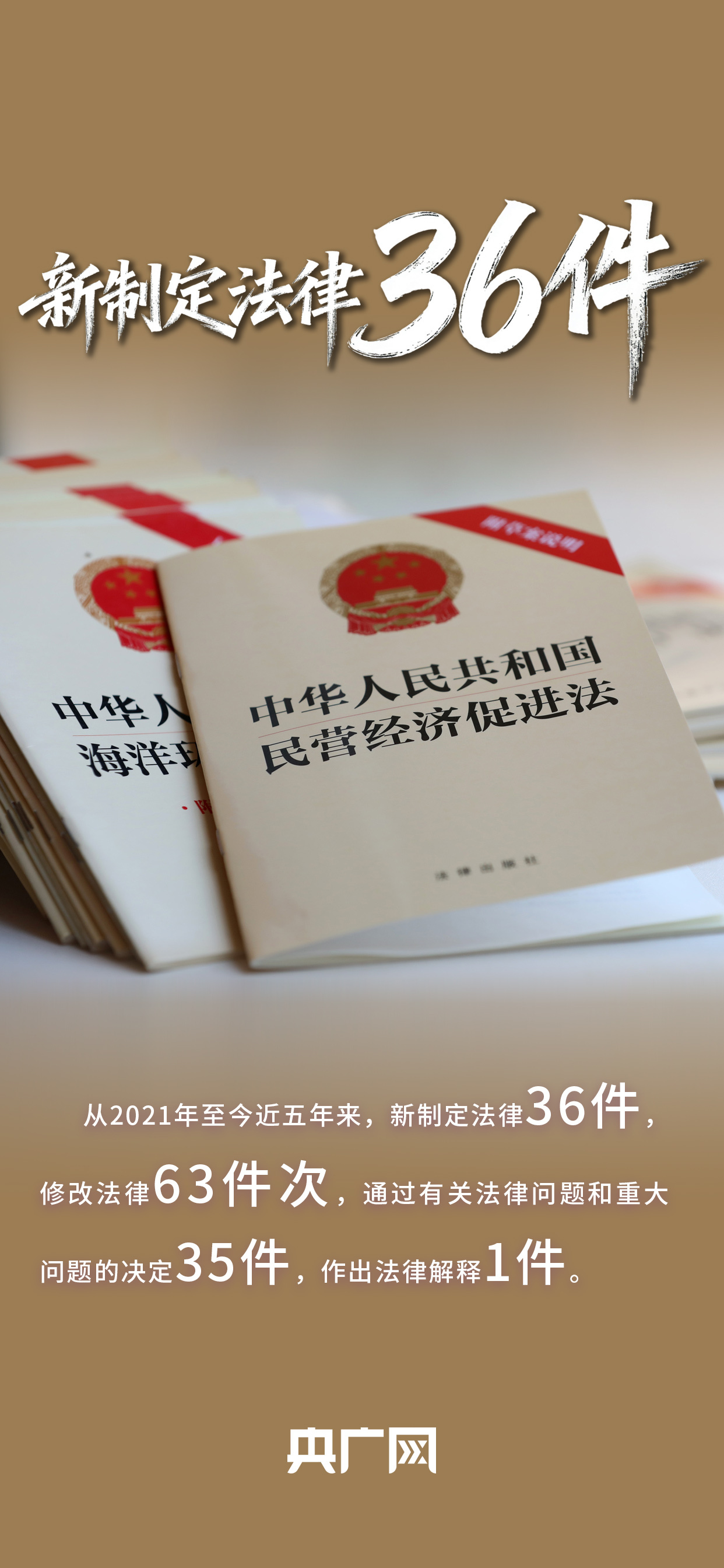 数读“十四五”答卷丨取得突破性进展！一组数据看法治中国建设“成绩单”