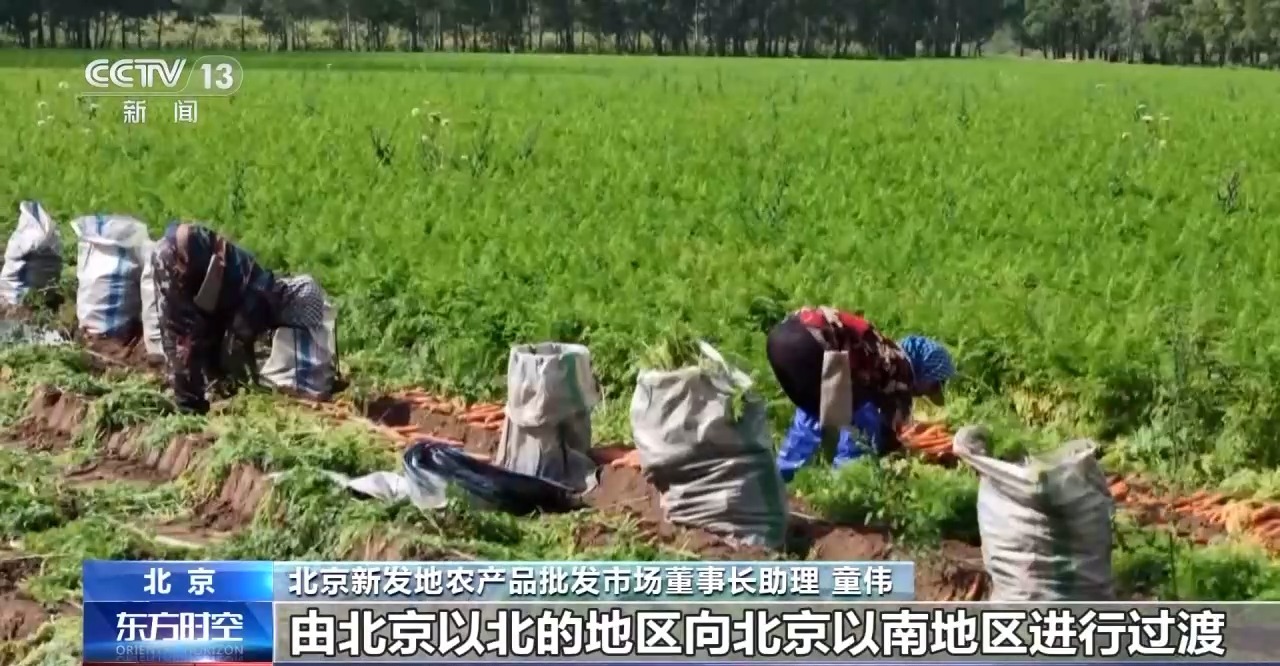 “小菜篮”里装着“大民生” 面对菜价波动 多地出实招守护“菜篮子”