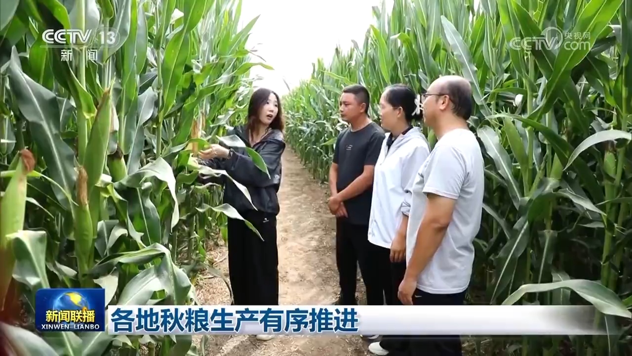 各地秋粮生产有序推进