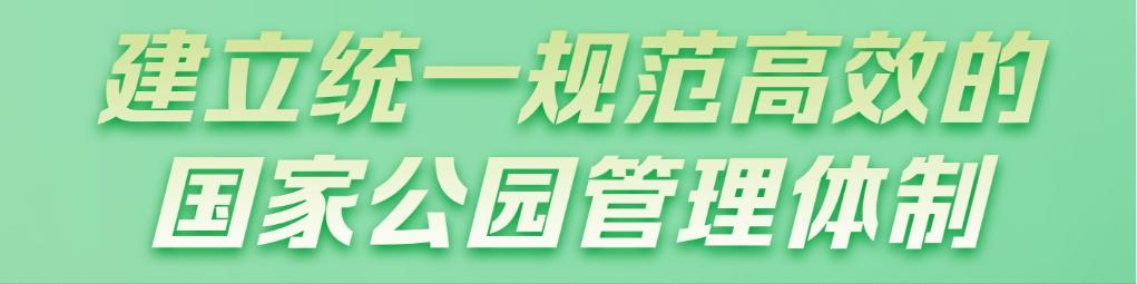 首次立法！国家公园筑起“法治屏障”