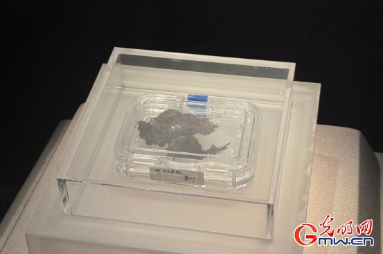 这里有2100年前的茶叶，来了解一下~~