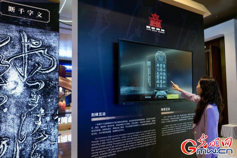 组图丨2025年世界互联网大会文化遗产数字化精品展开展