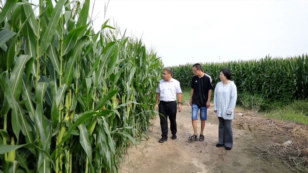 新华视点｜金秋九月话丰收 特色农业绘就乡村振兴新图景
