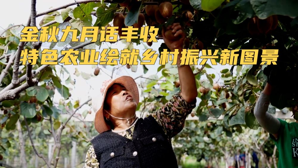 新华视点｜金秋九月话丰收 特色农业绘就乡村振兴新图景