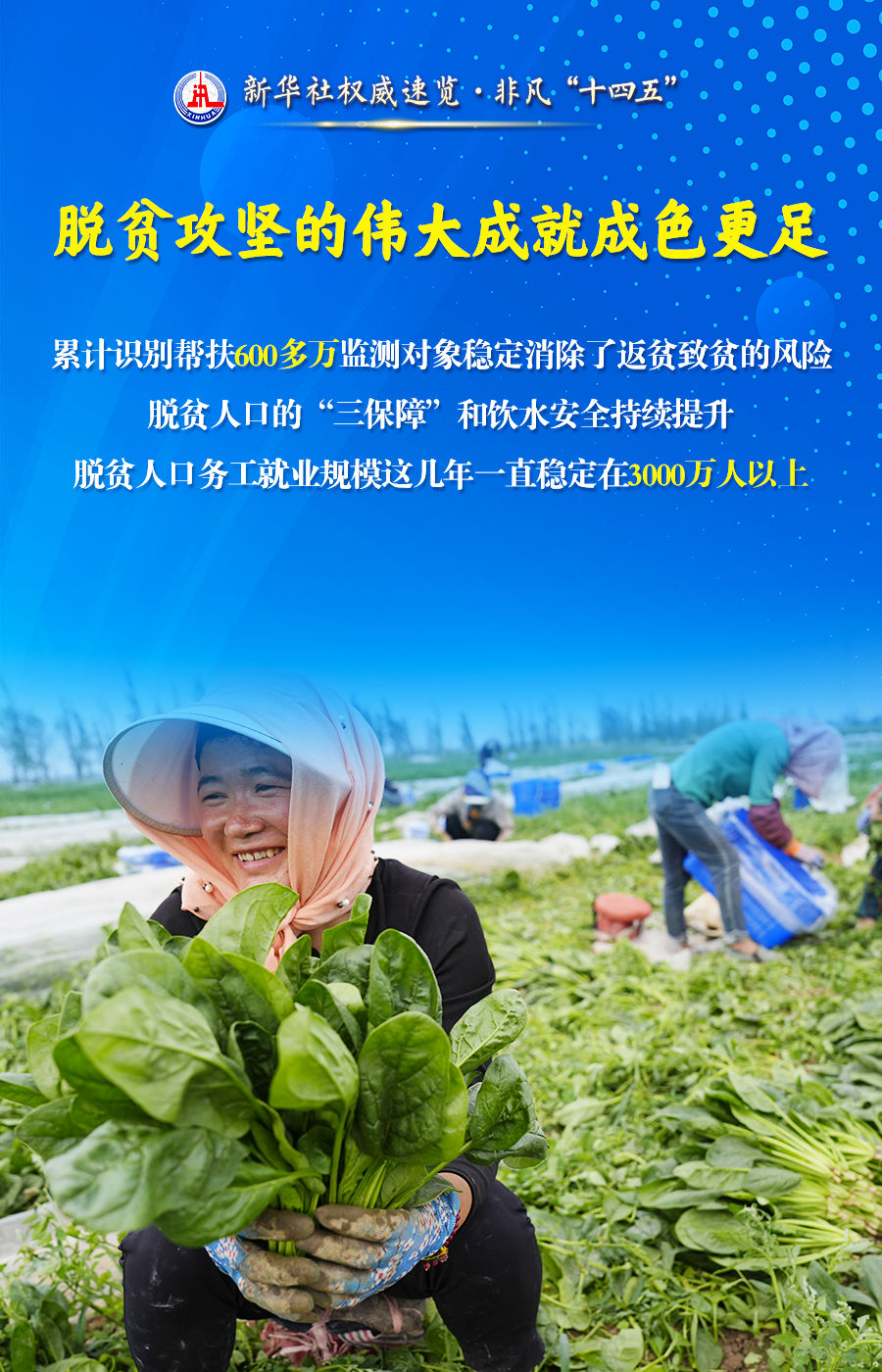 非凡“十四五”丨“农业强国”建设，取得这些新进展！